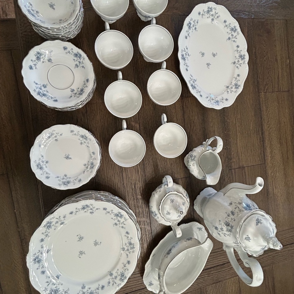 Johann Haviland Bavarian Platinum Trim vintage rare